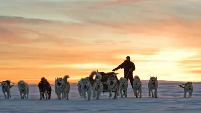 مورتين هيلمر يركد مع كلاب دورية سيريوس المتزلجة في غرينلاند