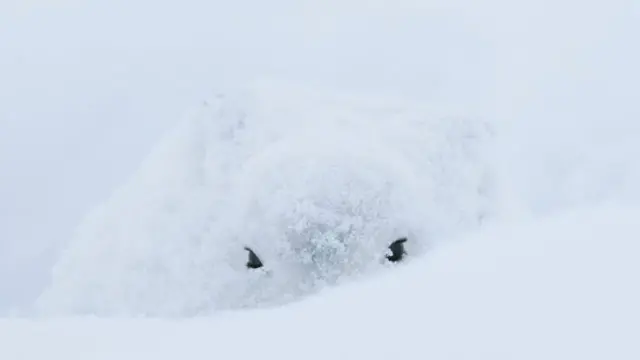 هناك من يراقبك