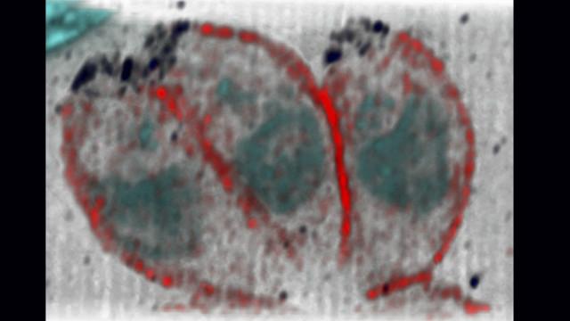 Universidadebonus de boas vindas sportingbetGlasgow