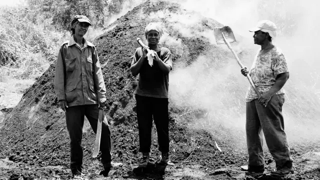 Norma González, Bertha Rosa Blanco y Celina González Díaz son carboneras