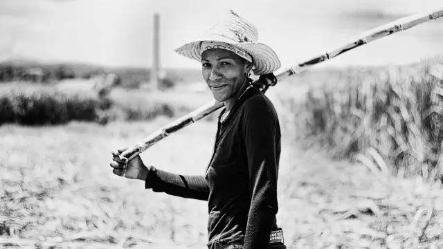 Yusmailin Espinosa, cortadora de caña