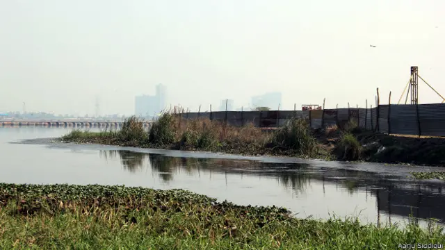 यमुना, एनजीटी