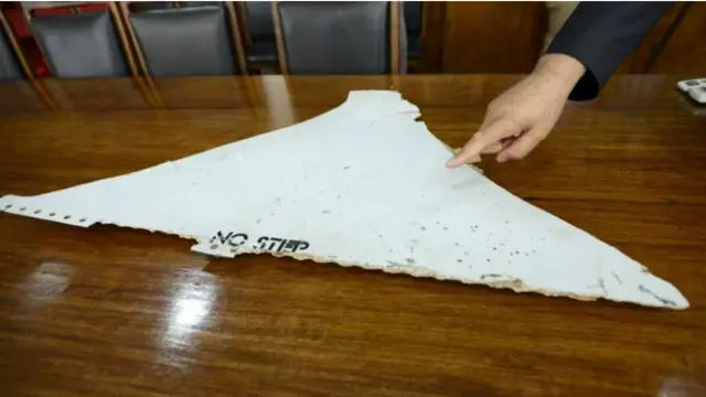 Обломок, найденный в Мозамбике, может быть частью пропавшего "Боинга"