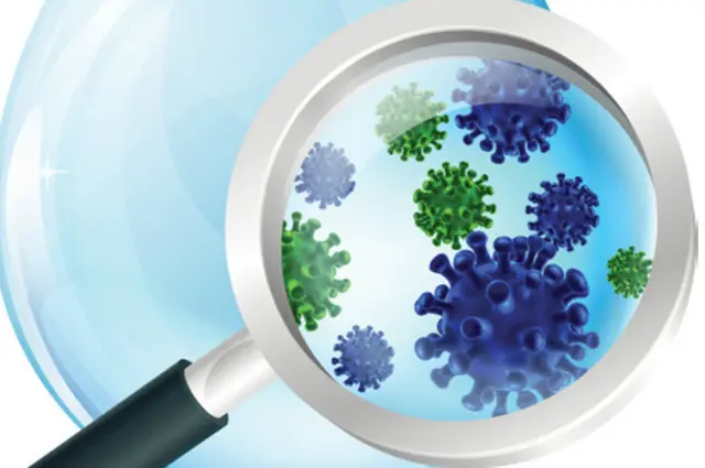 Las bacterias viajan en el agua