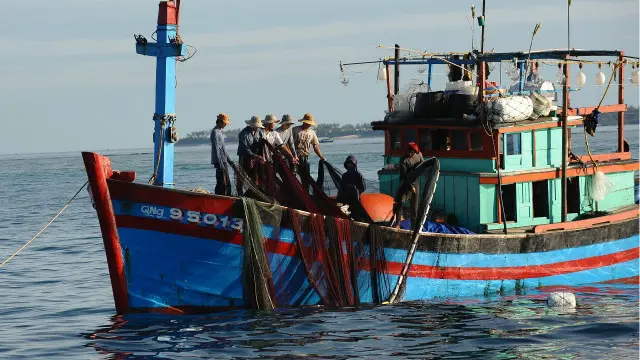 Việt Nam là nước 'tuyến đầu' và ngư dân Việt thường xuyên bị tấn công khi ra biển