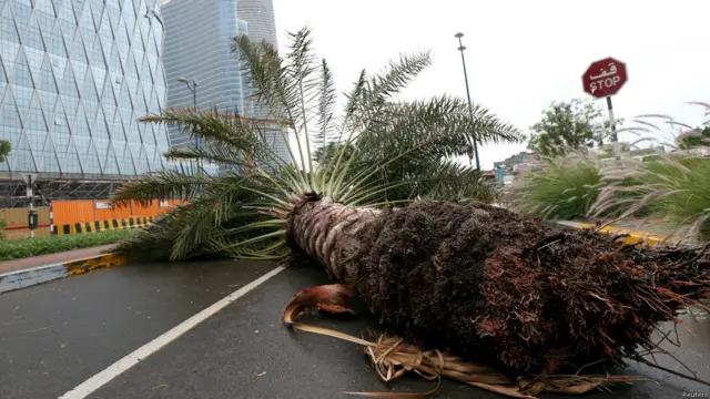 ابوظہبی سے سرکاری روزنامے کے مطابق متحدہ عرب امارات میں شامل سات ریاستوں کے سکولوں کو جمعرات کے لیے بند کر دیا گیا ہے۔