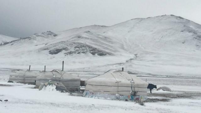 冰天雪地中的蒙古包