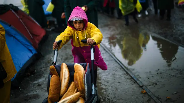 2015 میں جرمنی میں دس لاکھ سے زیادہ مہاجرین اور پناہ گزین داخل ہوئے ہیں