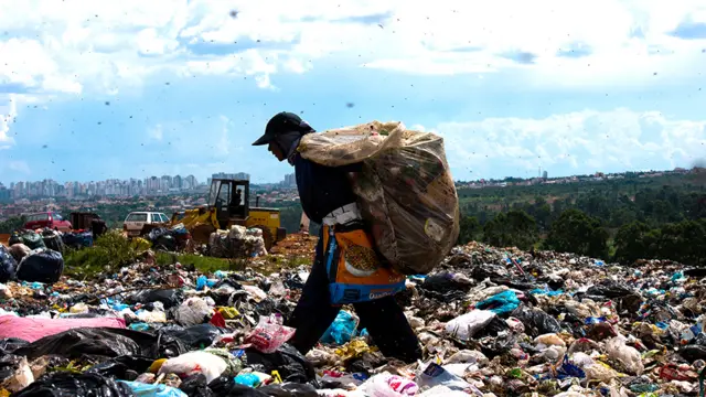 Basurero de Estructural