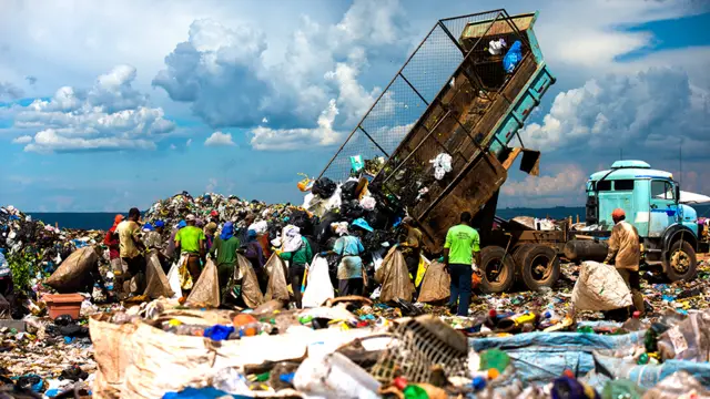 Basurero de Estructural