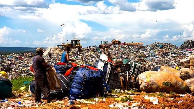 Basurero de Estructural