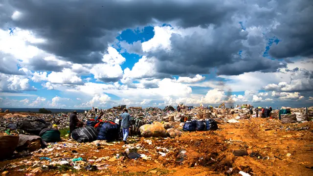 Basurero de Estructural