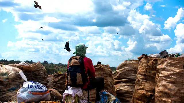 Basurero de Estructural