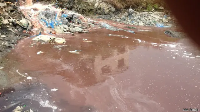 কোন কোন কারখানার বর্জ্য পরিশোধন না করেই নদীতে ফেলা হচ্ছে।