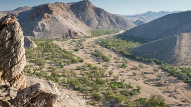 胡阿河盆地是大象經常出沒的地區。