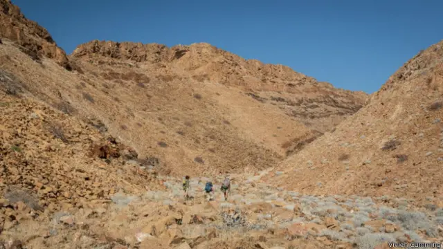 在盆地遠足,探尋古老冰川的遺跡。