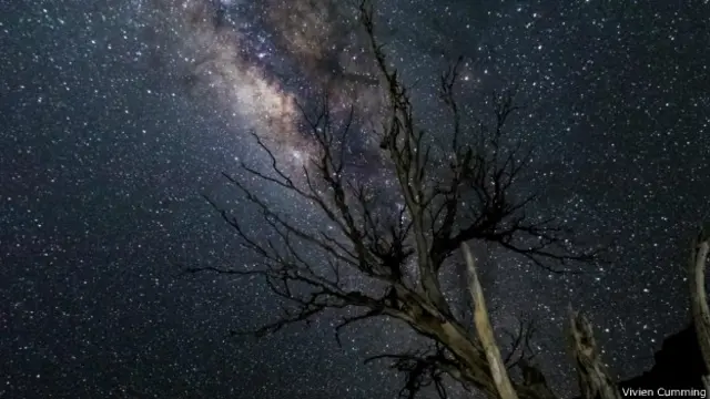 由於附近沒有光源污染,銀河系的星星每晚都清晰可見。