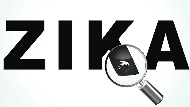 Epidemias como la reciente producida por el virus zika nos dan una idea de lo que está en juego. Entonces: ¿arriesgarse para encontrar curas o mejor abstenerse?