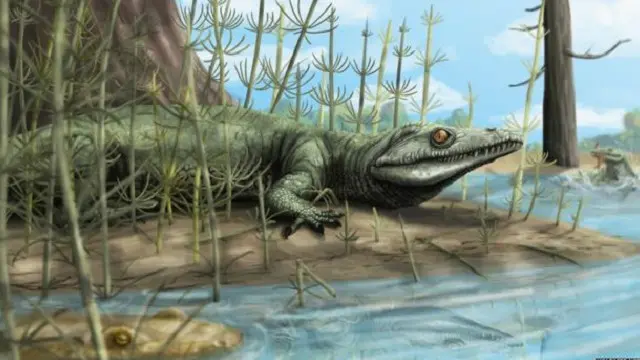 هذا النوع من الزواحف كان يعيش بالقرب من البحيرات والأنهار ويتغذى على الزواحف الصغيرة
