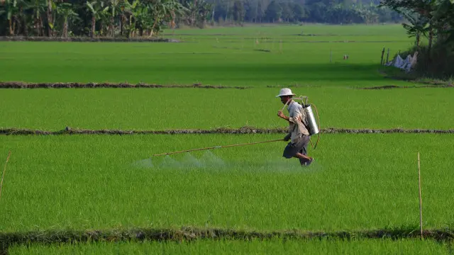 Tôm - lúa có phải là mô hình tương lai cho khu vực bị ảnh hưởng bởi biến đổi khí hậu này?