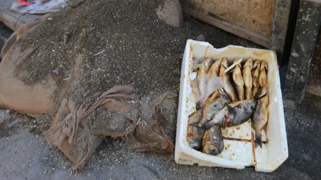 Ara sokaktaki balıkçı da çürüyen ürünlerini çöpe atıyor.