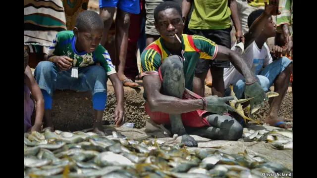 तोम्बो बंदरगाह, मछुआरे