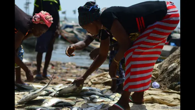 तोम्बो बंदरगाह, मछुआरे