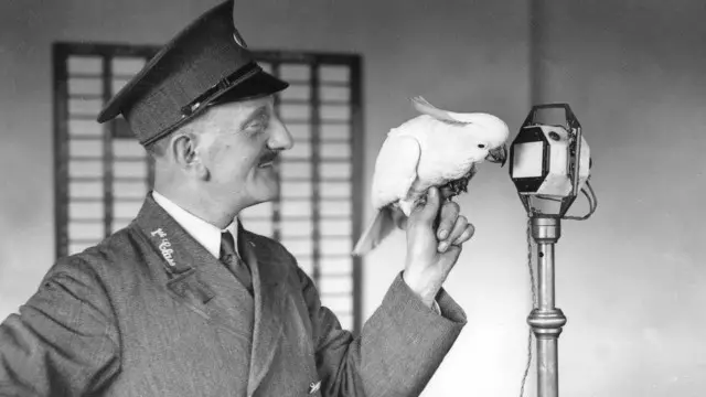 المؤثرات الصوتية من حديقة الحيوان