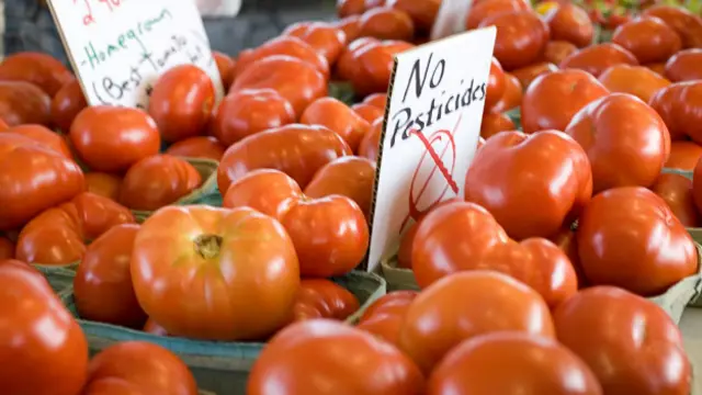 Томаты без пестицидов