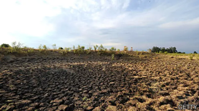 Campo durante sequía en Uruguay