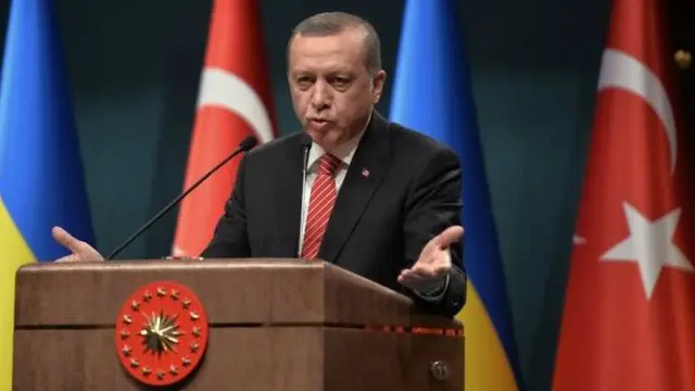 صدر اردوغان کا کہنا تھا کہ یہ صحافی، سیاستدان یا کوئی سرگرم کارکن بھی ہوسکتا ہے