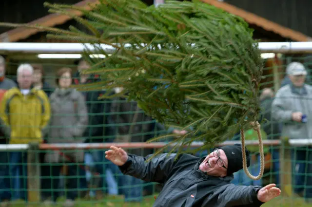 El lanzamiento de árboles de navidad tuvo lugar el 3 de enero en Irlanda.