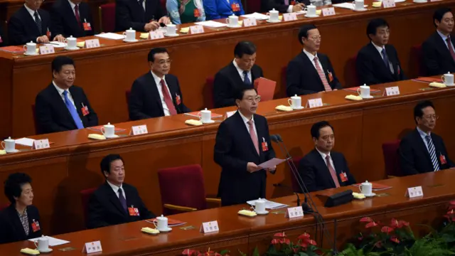 張德江在全國人大閉幕會上講話