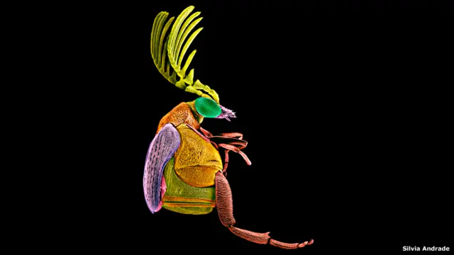 Sony World Photography Awards 2016