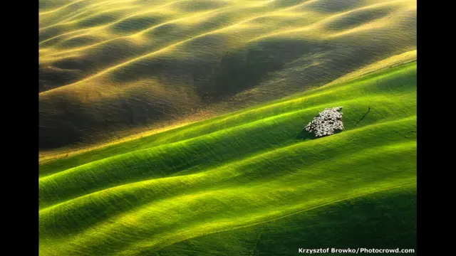 фото предоставлено www.Photocrowd.com