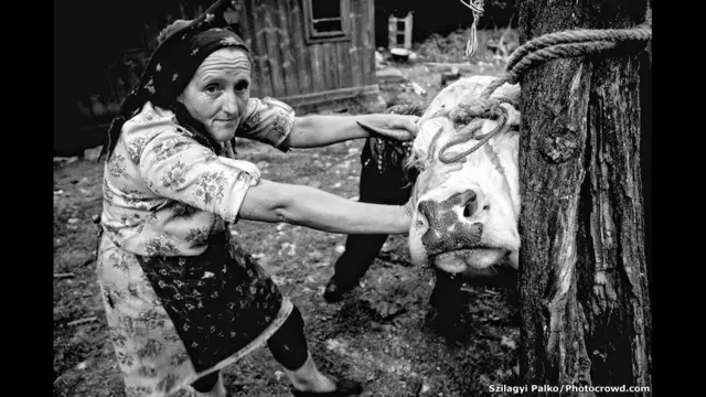 фото предоставлено www.Photocrowd.com