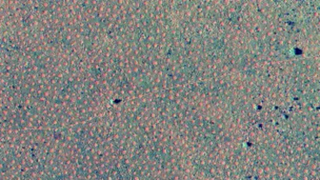 Círculos de hadas en Australia