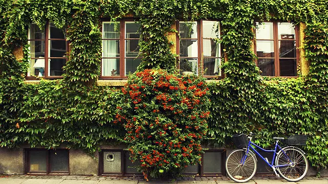 Копенгаген