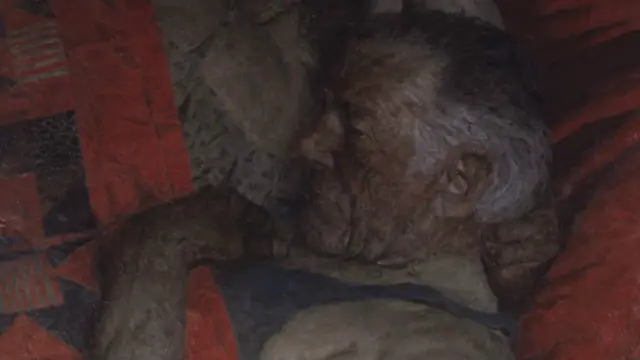 korzhev