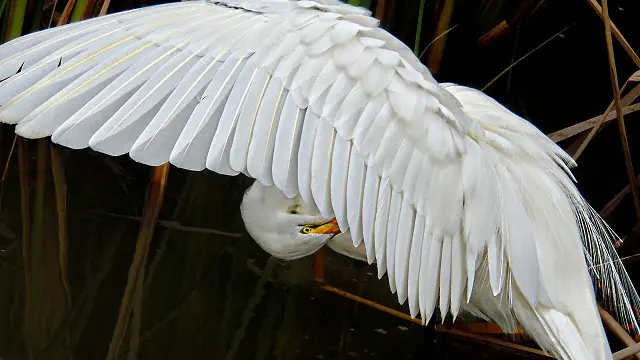 Un enigma con muchas teorías pero aún sin conclusión.