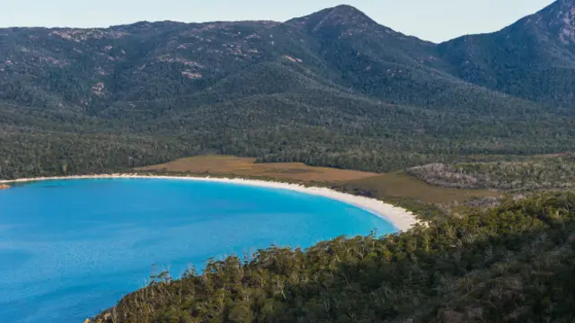В прежние геологические эпохи содержание СО2 в атмосфере было значительно выше, климат мягче, а лесов значительно больше, чем сегодня