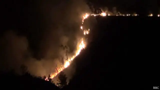 තලවකැලේ සෙන් ක්ලෙයාර් දිය ඇල්ල ආසන්නයේ හට ගත් ගින්න 