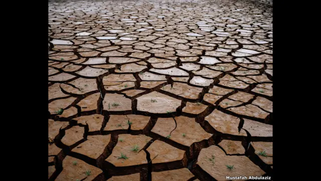 засуха в водохранилище Кантанейра, Сан-Пауло, Бразилия, 2015 год