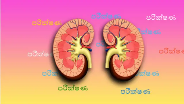 ග්ලයිෆොසේට් වල බලපෑමක් තිබෙන බව සනාථ කිරීමට ප්‍රමාණවත් පර්යේෂණ සිදුවී නැති බවයි පැවසෙන්නේ