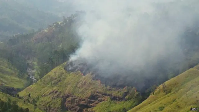 ගින්නට හසු වී බෝපත්තලාව කිරිගල්පොත්ත රක්ෂිතයට අයත් අක්කර හත්සීයක් පමණ විනාශ වී ඇති බවයි වාර්තා වන්නේ 