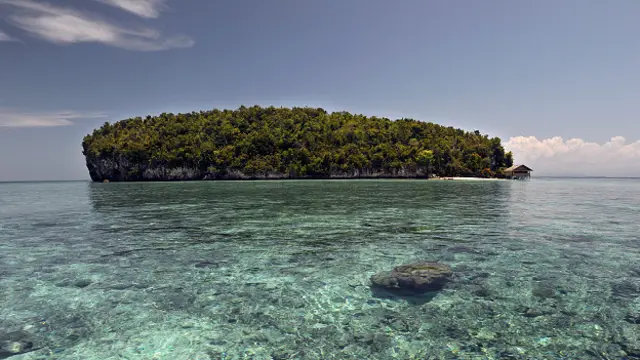 Коралловые рифы