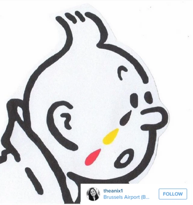 Instagram / theanix1