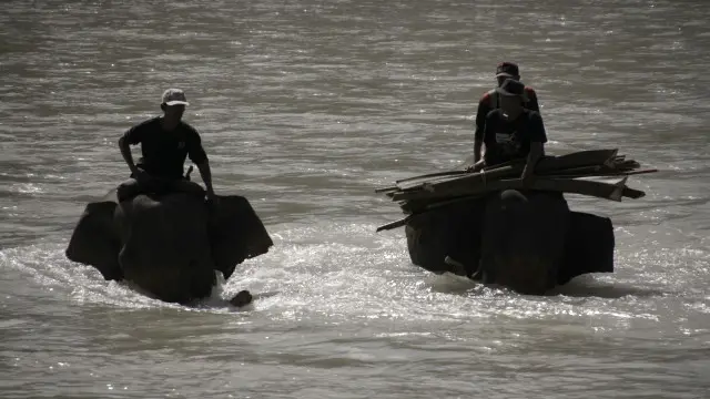 PLG Seblat sudah di kelilingi oleh kebun kelapa sawit.