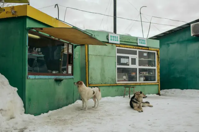Белозерск, Михаил Трибой