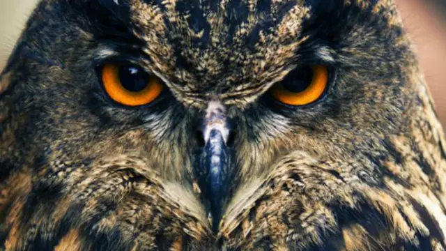 更多文章：需要熬夜？睡眠學家給你支招。(Thinkstock)